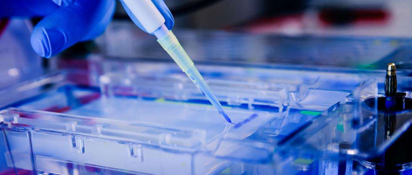 Avant-première : étude sur les biomédicaments