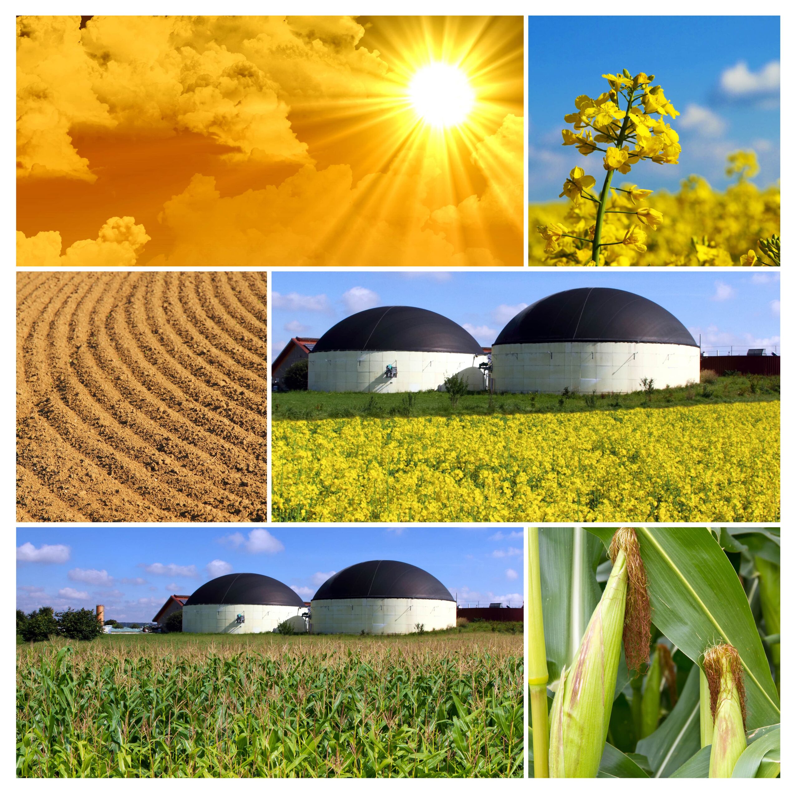 Etude ALCIMED Agri Agro 2023