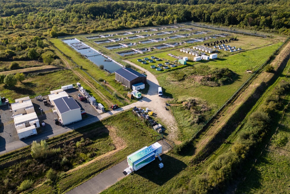 Du littoral aux rivières : l’EMBL et le CEREEP - Ecotron IDF ouvrent une nouvelle ère pour la recherche environnementale