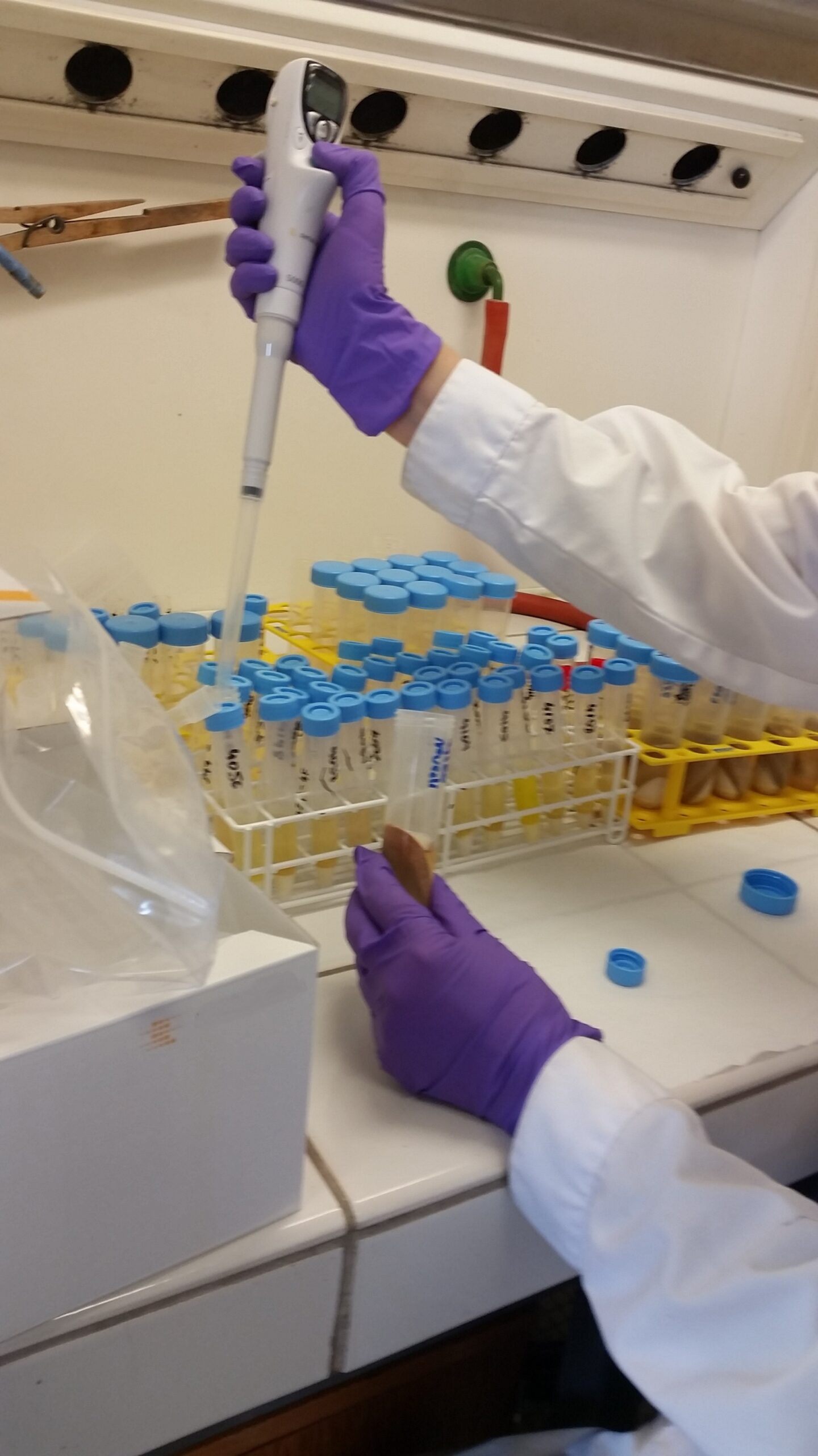 Le Service commun des laboratoires &ndash; DGCCRF, DGDDI, DGAL &ndash; Des scientifiques en premi&egrave;re ligne pour prot&eacute;ger les consommateurs